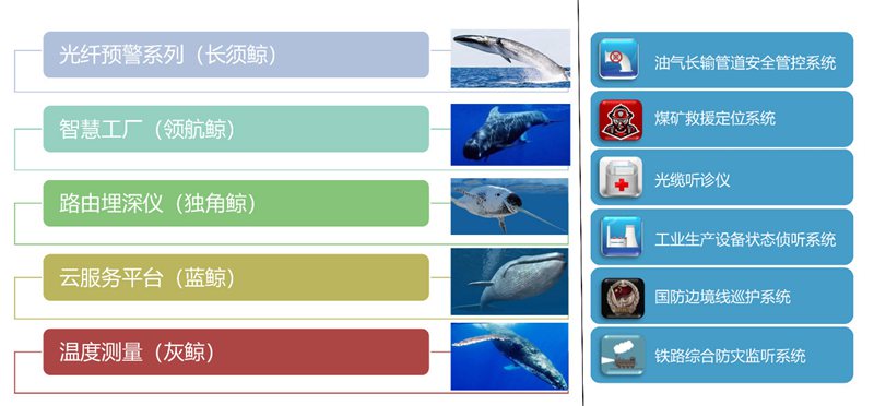 青海光缆周界安防升级 2022压力管道新方案解析